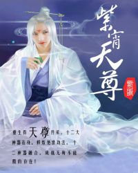紫宵天尊小說免費封面