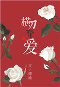《橫刀奪愛》小說封面